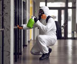 Professional Mold Remediation in Ingram, PA